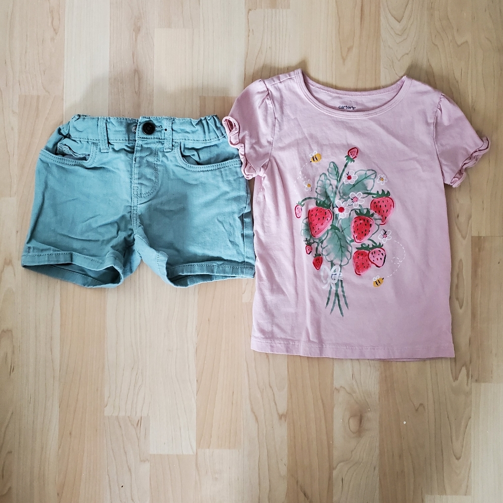 Carter's toddler girl size 5t outfit